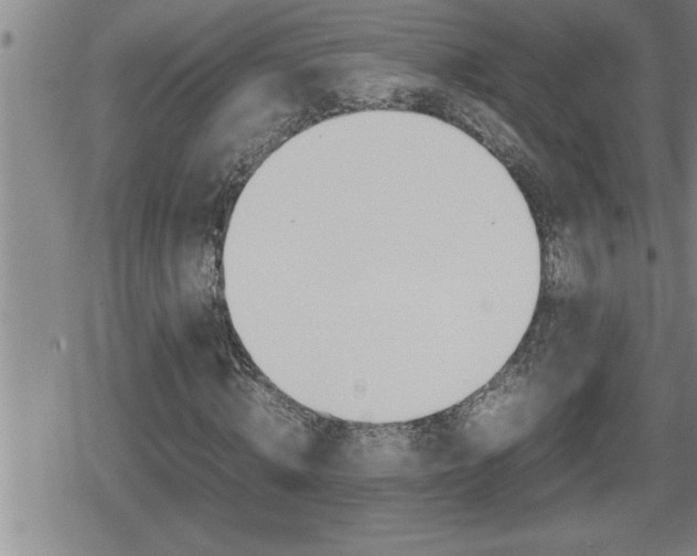 X0000080800820200612151030