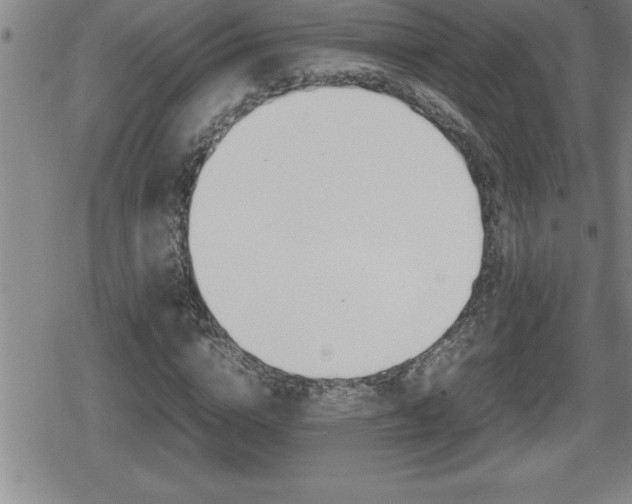 X0000080800824200612151030