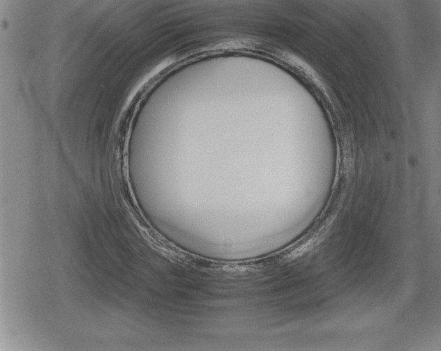 X0000080800827200612151030