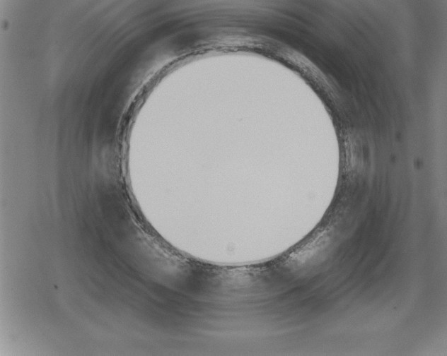 X0000080800828200612151030