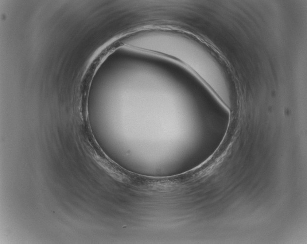 X0000080800830200612151030