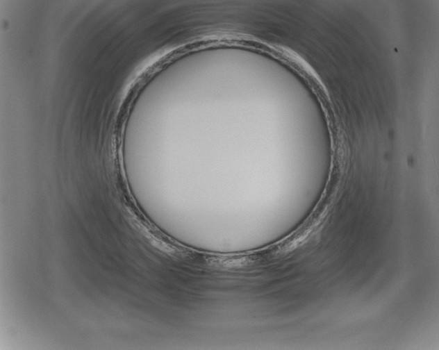X0000080800831200612151030
