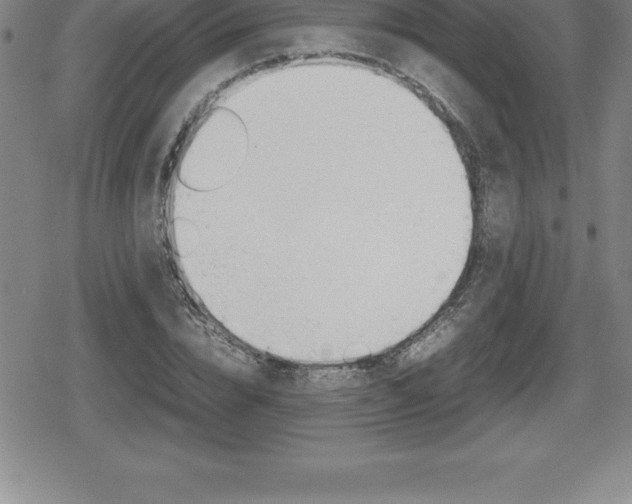 X0000080800832200612151030
