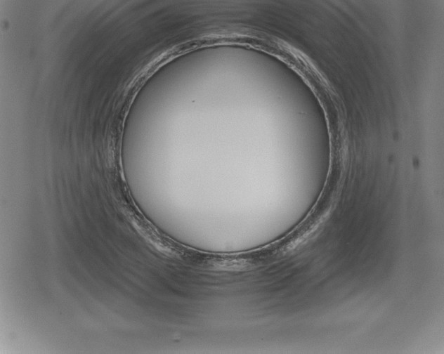 X0000080800833200612151030