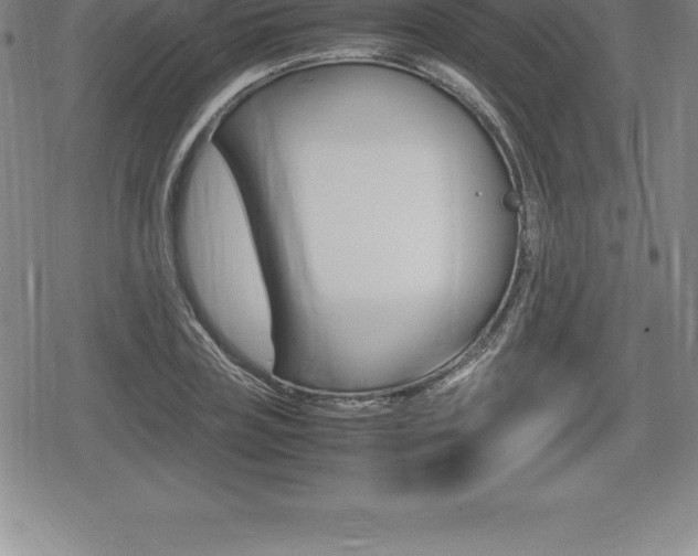 X0000080800835200612151030