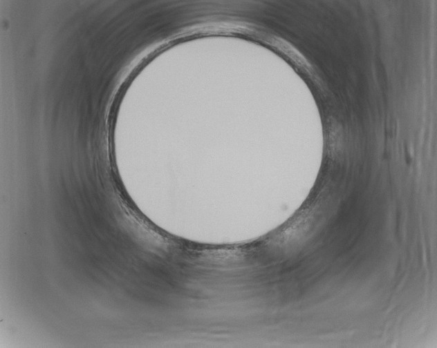 X0000080800836200612151030