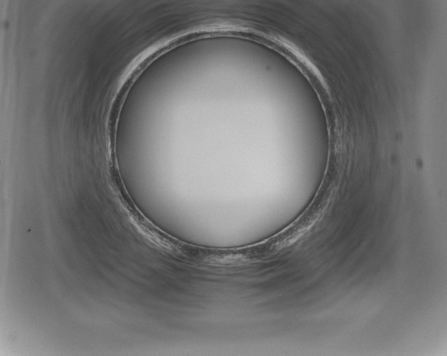 X0000080800837200612151030