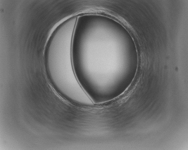 X0000080800838200612151030