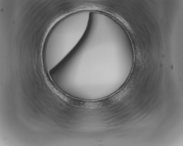 X0000080800840200612151030
