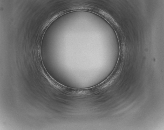 X0000080800841200612151030