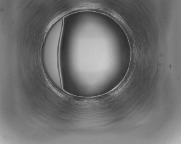 X0000080800842200612151030
