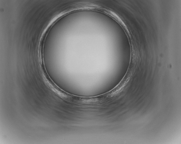 X0000080800843200612151030