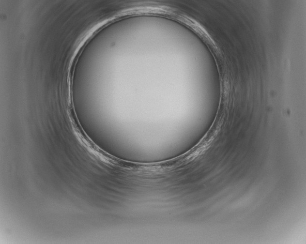 X0000080800844200612151030