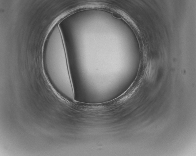 X0000080800845200612151030