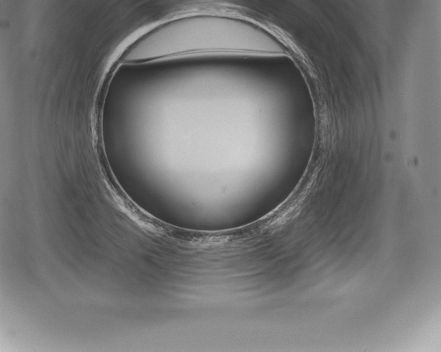 X0000080800846200612151030