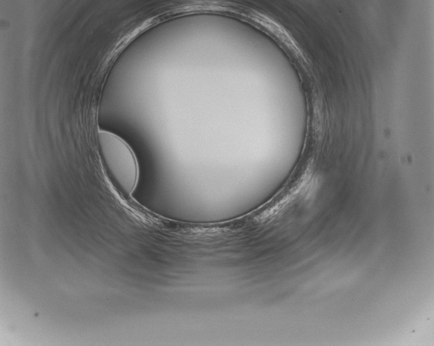 X0000080800849200612151031
