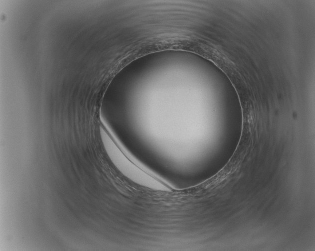 X0000080800868200612151030