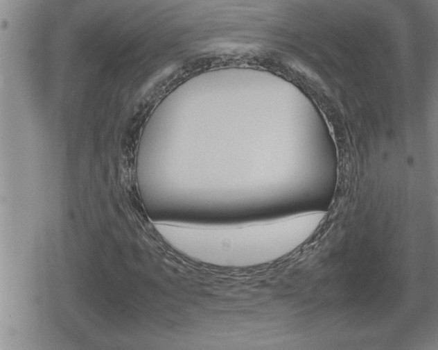 X0000080800869200612151030
