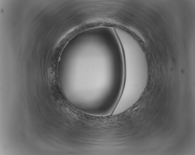 X0000080800872200612151030