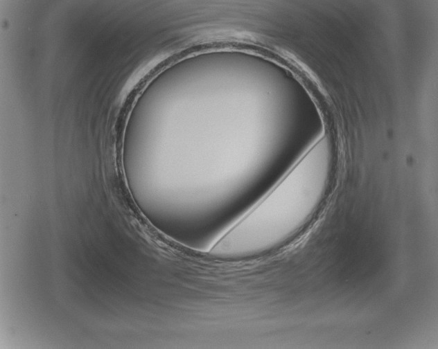 X0000080800877200612151030
