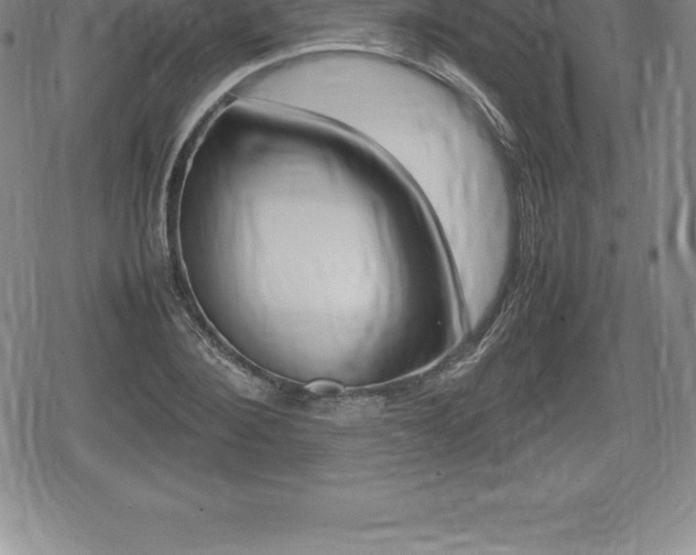 X0000080800884200612151030