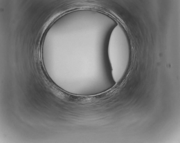X0000080800891200612151030