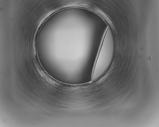 X0000080800892200612151030