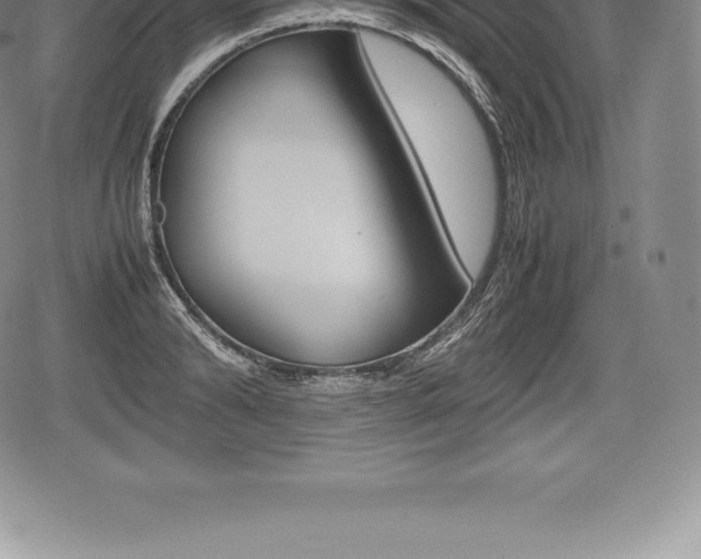 X0000080800894200612151030