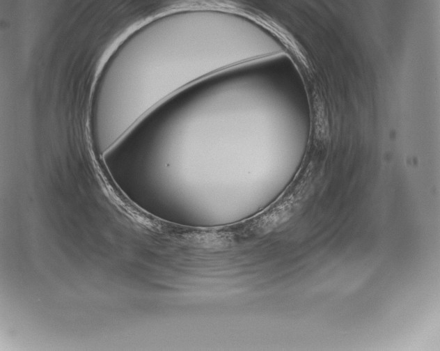 X0000080800896200612151029