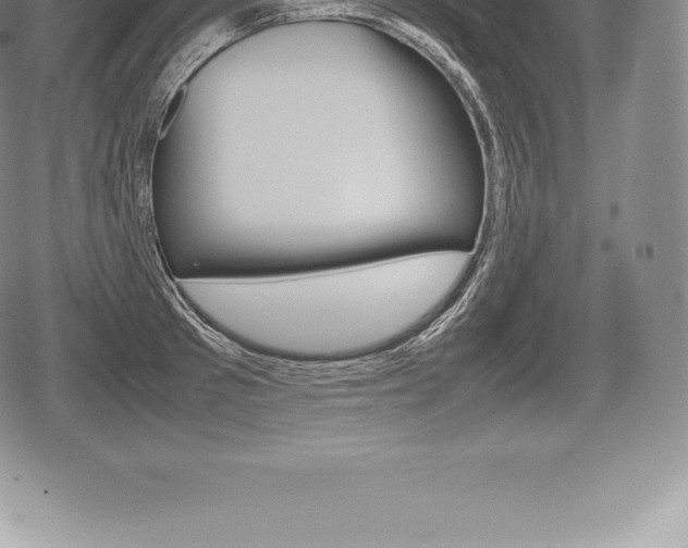 X0000080800897200612151029