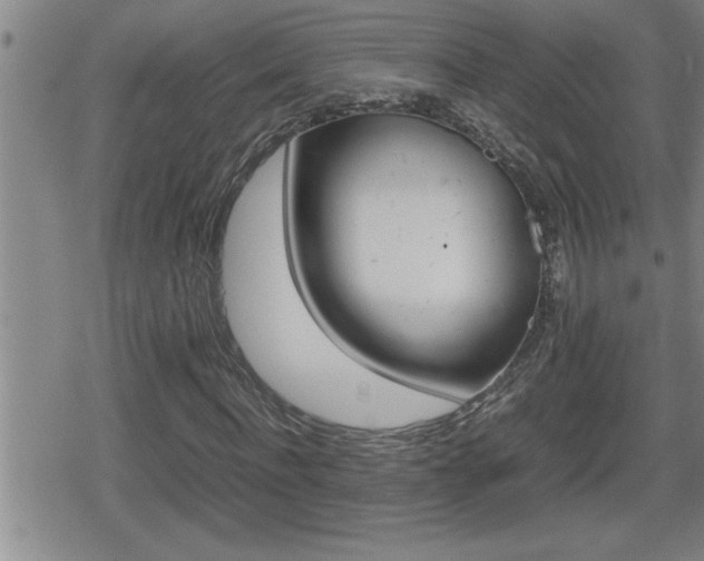 X0000080800916200612151028