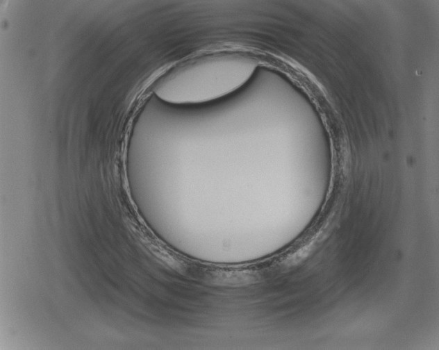 X0000080800921200612151029