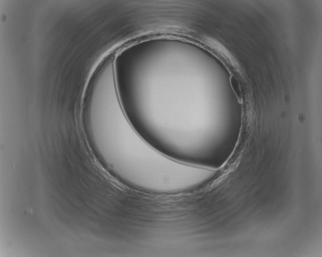 X0000080800924200612151029