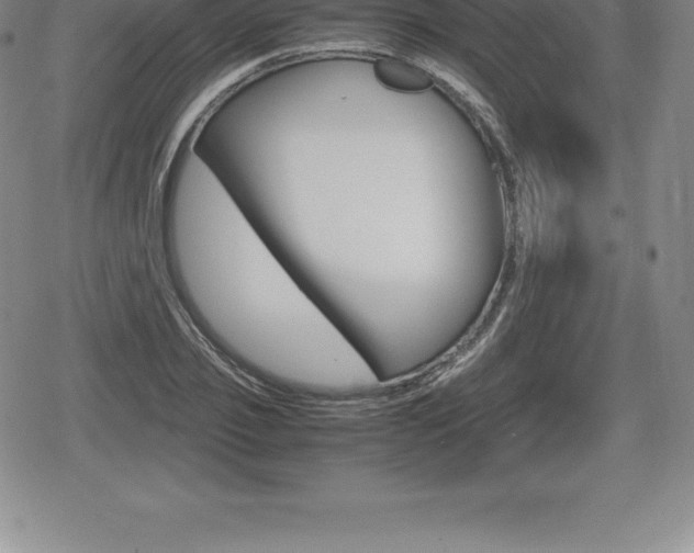 X0000080800933200612151029