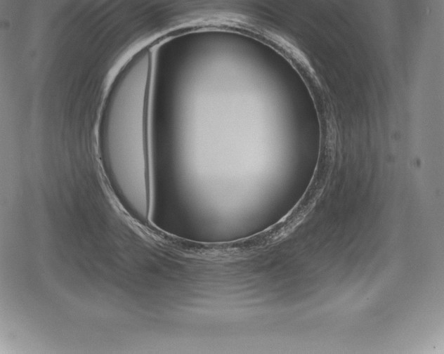 X0000080800936200612151029