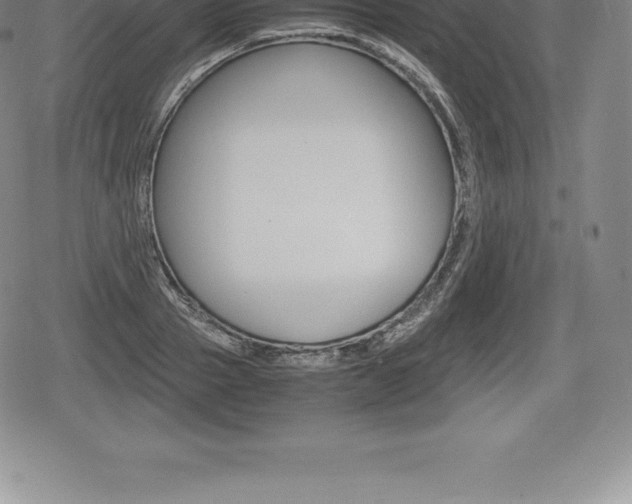 X0000080800937200612151029
