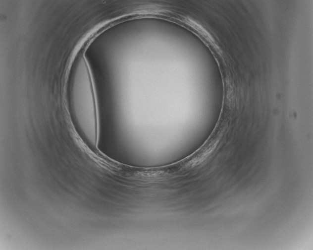 X0000080800939200612151029