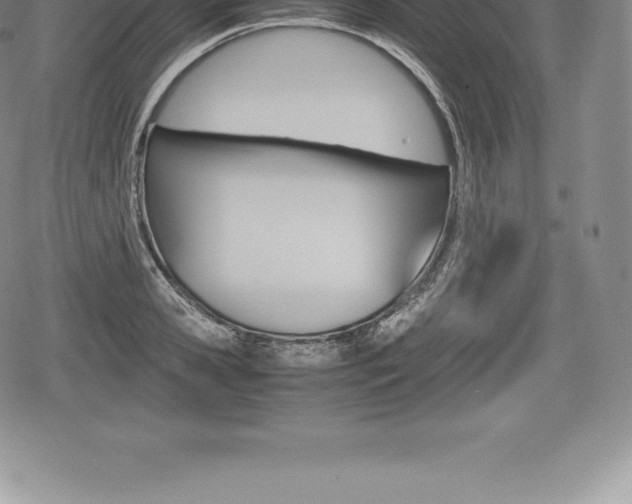 X0000080800941200612151029