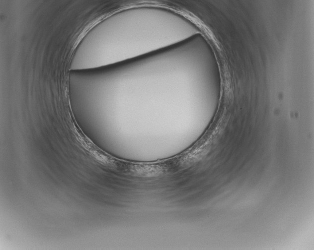 X0000080800945200612151029