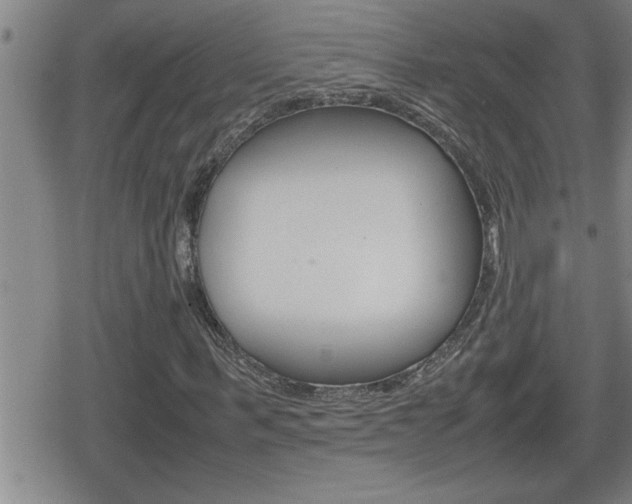 X0000080800963200612151028