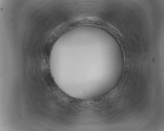 X0000080800966200612151028