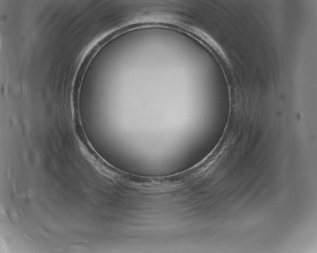 X0000080800980200612151028