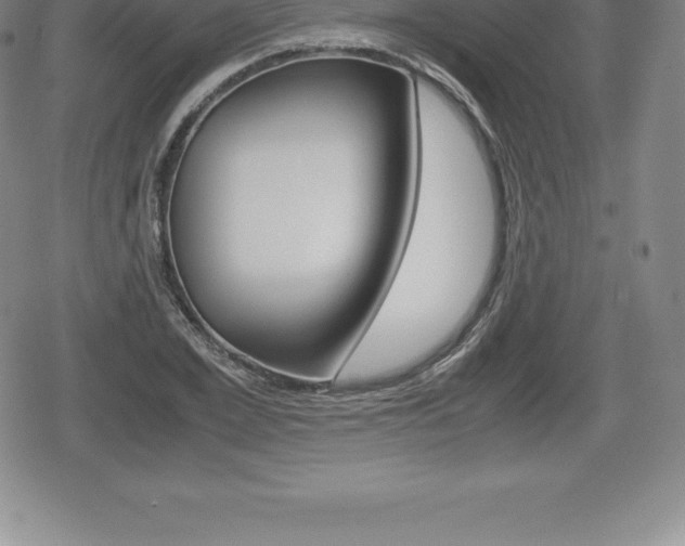 X0000080800981200612151028