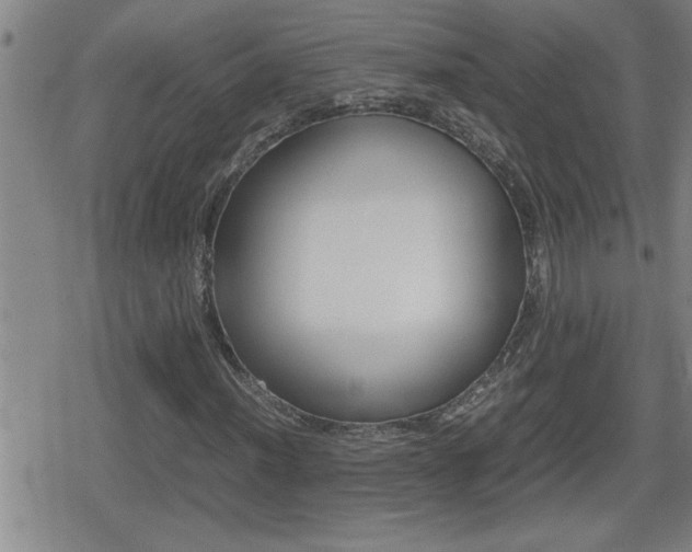 X0000080801012200612151027