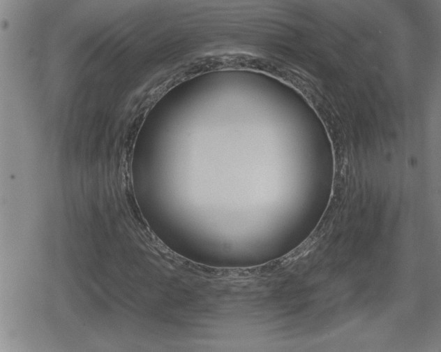 X0000080801014200612151027