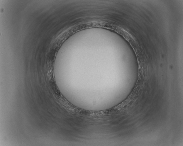 X0000080801015200612151027