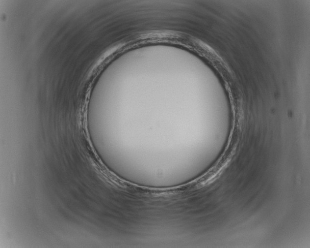 X0000080801017200612151027