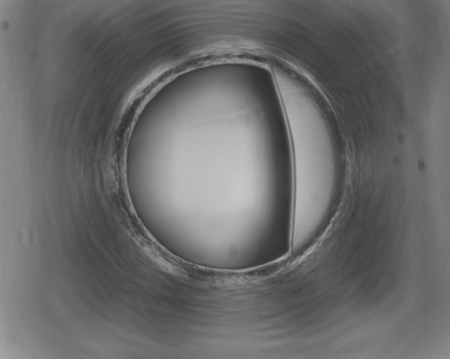 X0000080801018200612151027