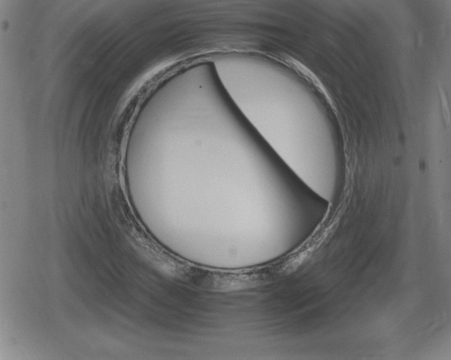 X0000080801019200612151027