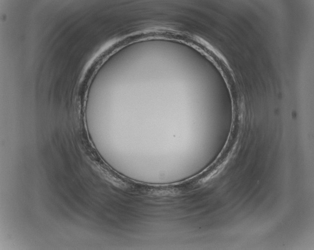 X0000080801021200612151027